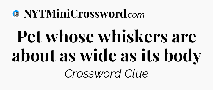 Pet whose whiskers are about as wide as its body Crossword Clue