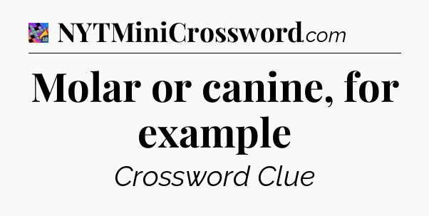 Molar or canine, for example Crossword Clue