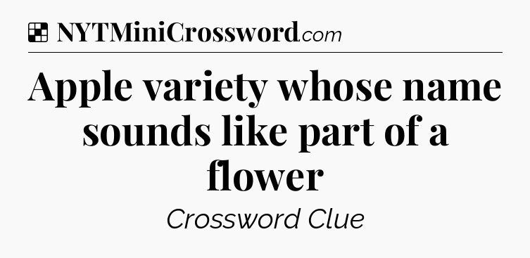 Solution: Apple variety whose name sounds like part of a flower - NYT Crossword
