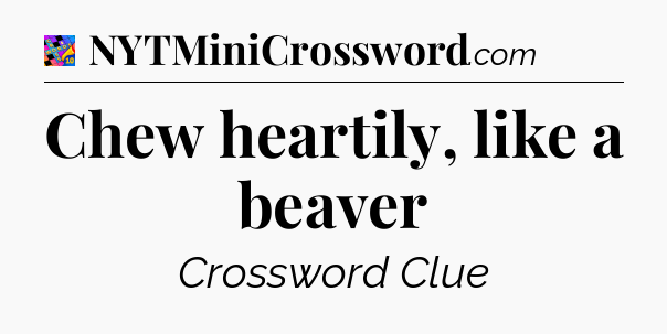 Chew heartily, like a beaver Crossword Clue