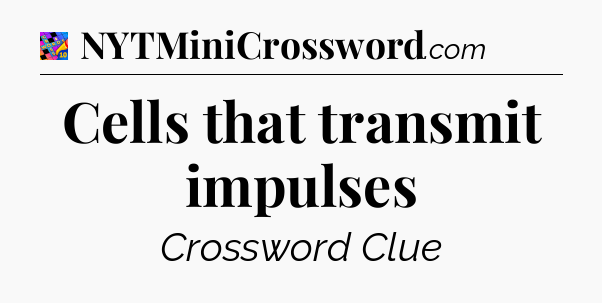 Cells that transmit impulses Crossword Clue