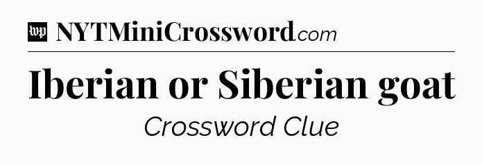 Iberian or Siberian goat Crossword Clue