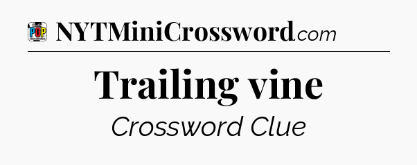 Trailing vine Crossword Clue