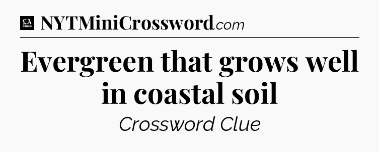Evergreen that grows well in coastal soil - LA Times Crossword