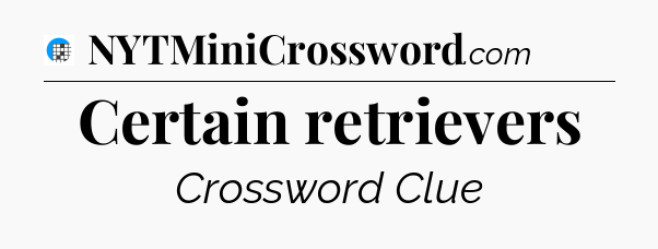 Certain retrievers Crossword Clue