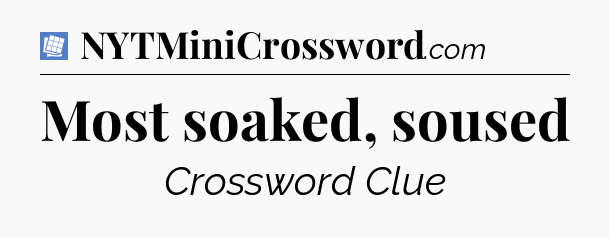 Most soaked, soused Puzzle Page Crossword Clue