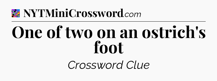 One of two on an ostrich's foot Crossword Clue