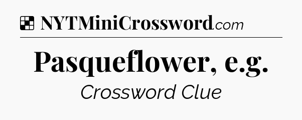 Solution: Pasqueflower, e.g - NYT Crossword
