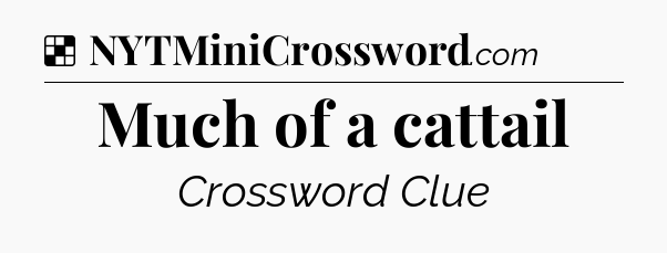 Solution: Much of a cattail - NYT Crossword