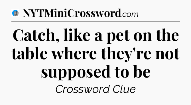 Catch, like a pet on the table where they're not supposed to be Crossword Clue