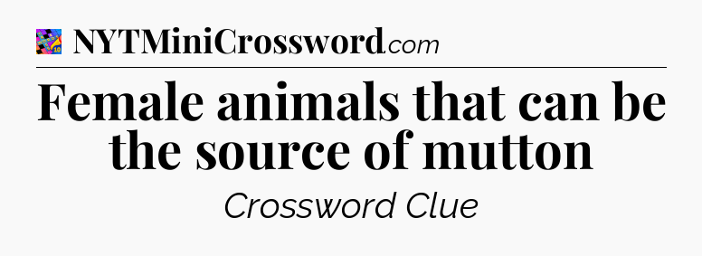 Female animals that can be the source of mutton Crossword Clue