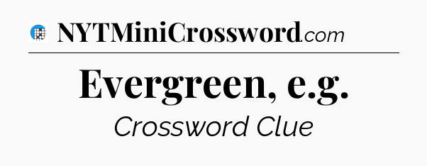 Evergreen, e.g Crossword Clue