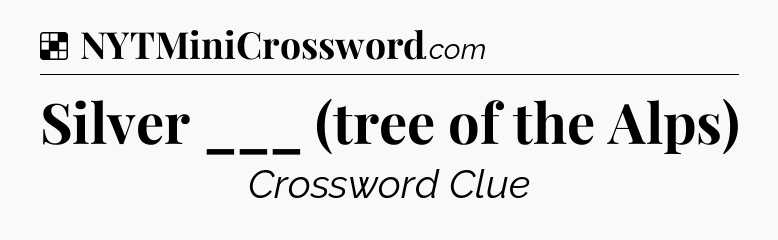 Solution: Silver ___ (tree of the Alps) - NYT Crossword