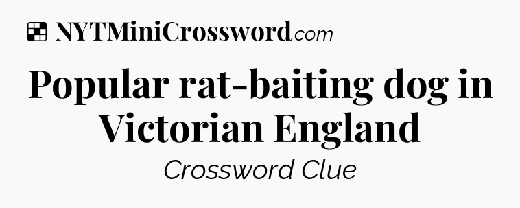 Solution: Popular rat-baiting dog in Victorian England - NYT Crossword