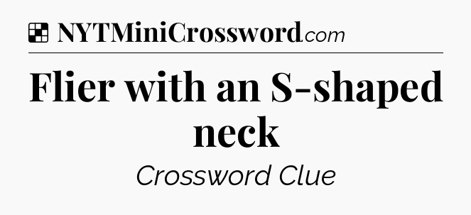 Solution: Flier with an S-shaped neck - NYT Crossword