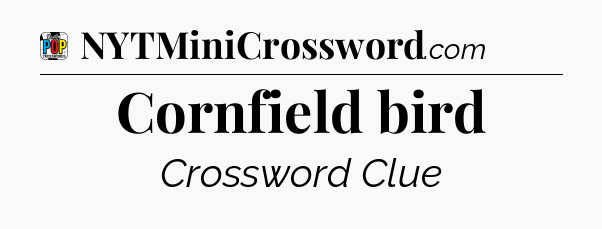 Cornfield bird Crossword Clue