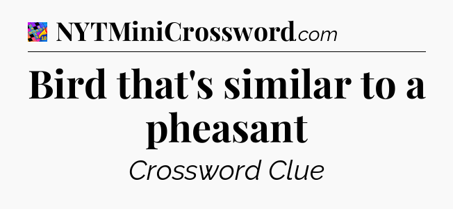 Bird that's similar to a pheasant Crossword Clue