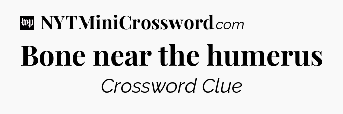 Bone near the humerus Crossword Clue
