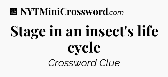 Stage in an insect's life cycle - LA Times Crossword
