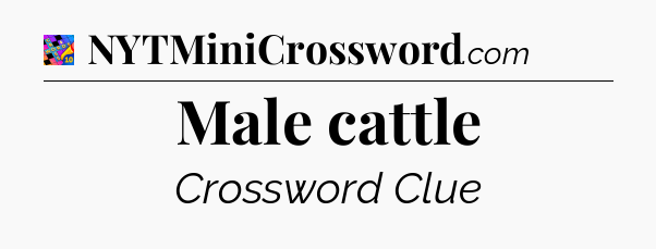 Male cattle Crossword Clue