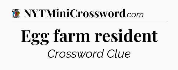 Egg farm resident Crossword Clue
