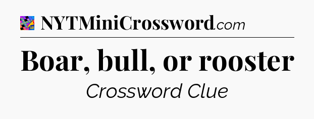 Boar, bull, or rooster Crossword Clue