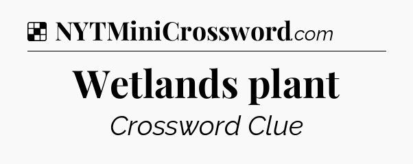 Solution: Wetlands plant - NYT Crossword