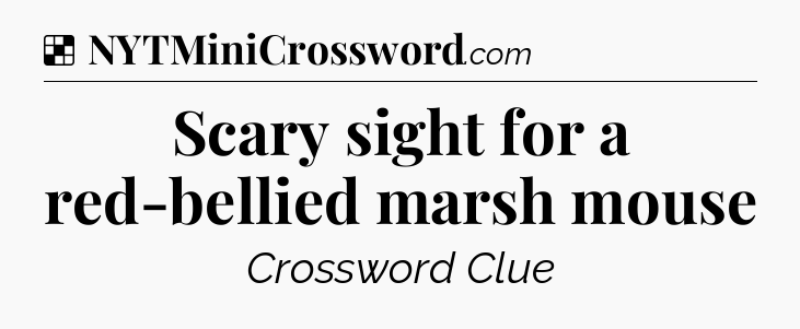 Solution: Scary sight for a red-bellied marsh mouse - NYT Crossword