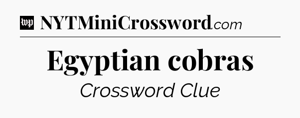 Egyptian cobras Crossword Clue