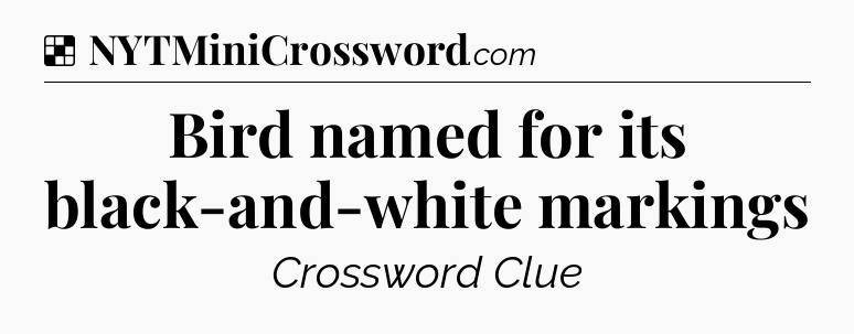 Solution: Bird named for its black-and-white markings - NYT Crossword