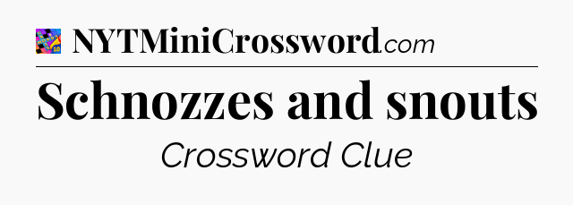 Schnozzes and snouts Crossword Clue