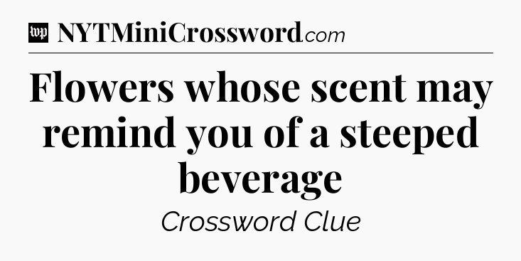 Flowers whose scent may remind you of a steeped beverage Crossword Clue