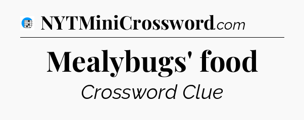 Mealybugs' food Crossword Clue