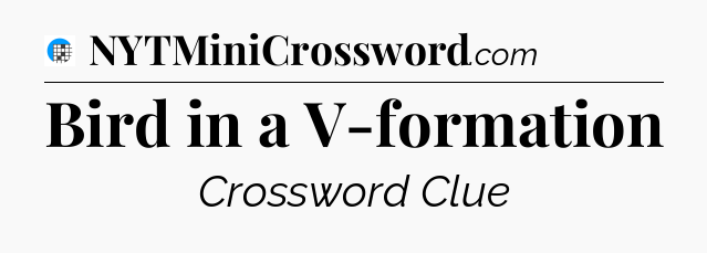 Bird in a V-formation Crossword Clue