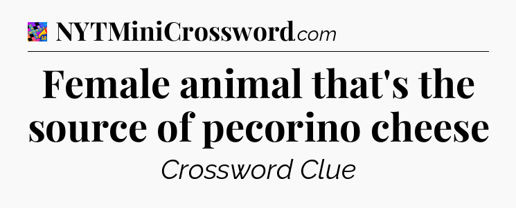 Female animal that's the source of pecorino cheese Crossword Clue