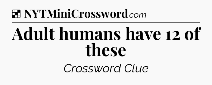 Solution: Adult humans have 12 of these - NYT Crossword