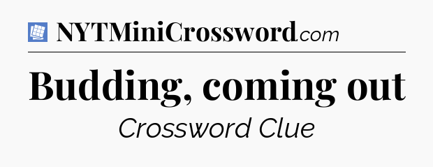 Budding, coming out Puzzle Page Crossword Clue