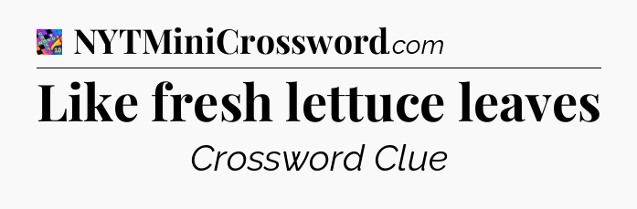 Like fresh lettuce leaves Crossword Clue