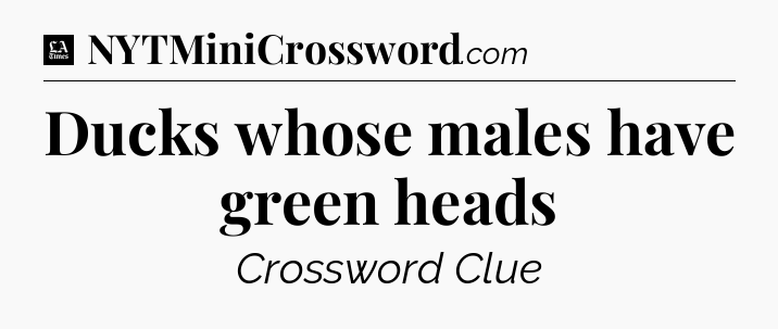 Ducks whose males have green heads - LA Times Crossword
