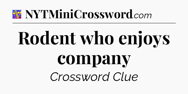 Rodent who enjoys company Codycross