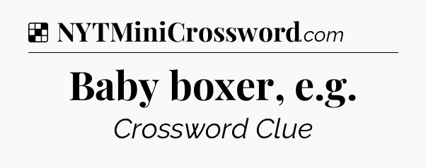 Solution: Baby boxer, e.g - NYT Crossword