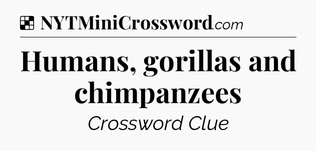 Solution: Humans, gorillas and chimpanzees - NYT Crossword