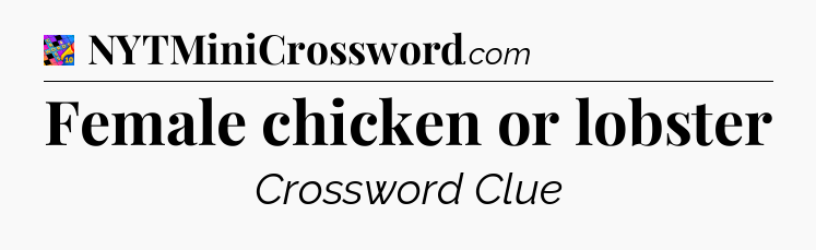 Female chicken or lobster Crossword Clue