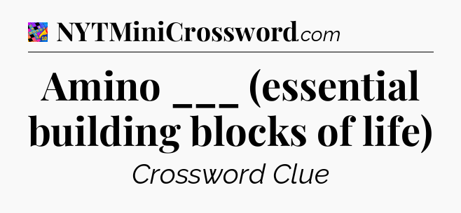 Amino ___ (essential building blocks of life) Crossword Clue
