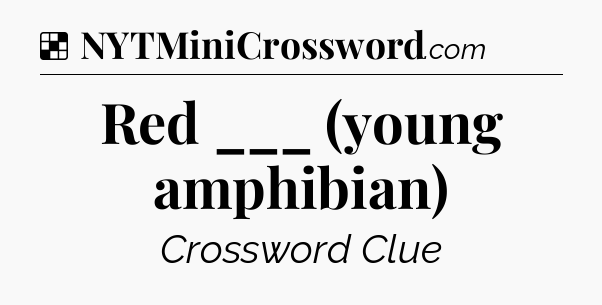 Solution: Red ___ (young amphibian) - NYT Crossword