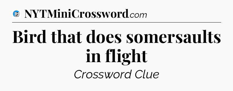 Bird that does somersaults in flight Crossword Clue