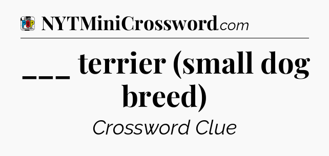 ___ terrier (small dog breed) Crossword Clue