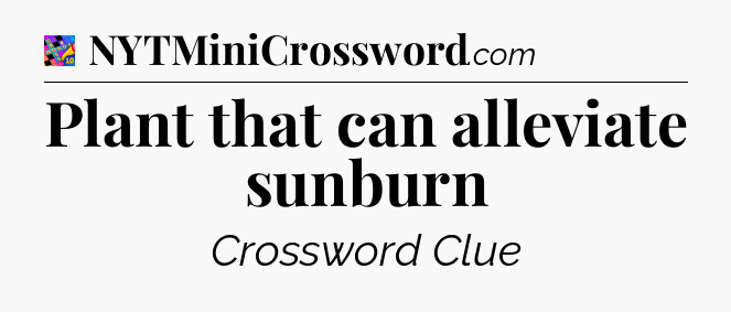 Plant that can alleviate sunburn Crossword Clue