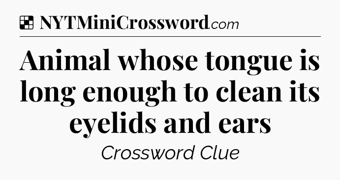 Solution: Animal whose tongue is long enough to clean its eyelids and ears - NYT Crossword