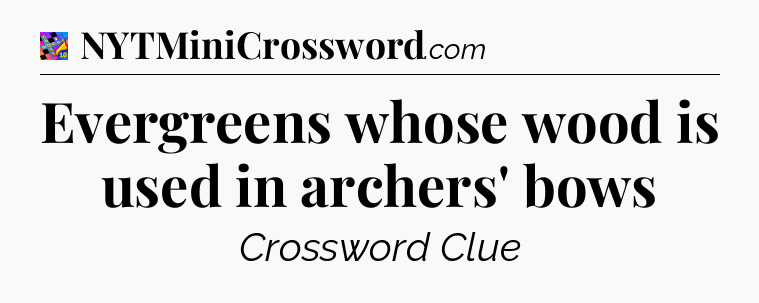 Evergreens whose wood is used in archers' bows Crossword Clue
